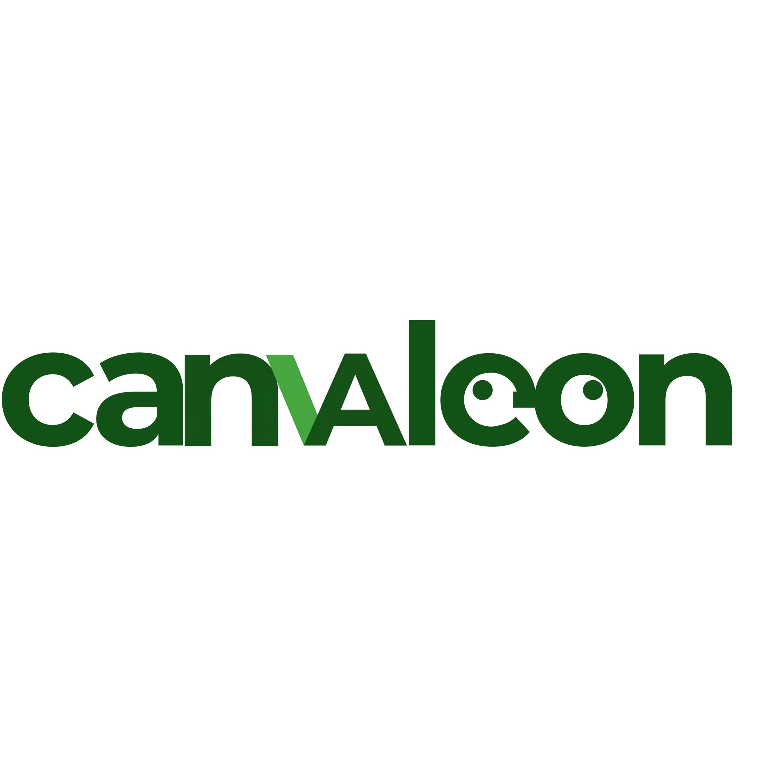 Canvaleon Studio