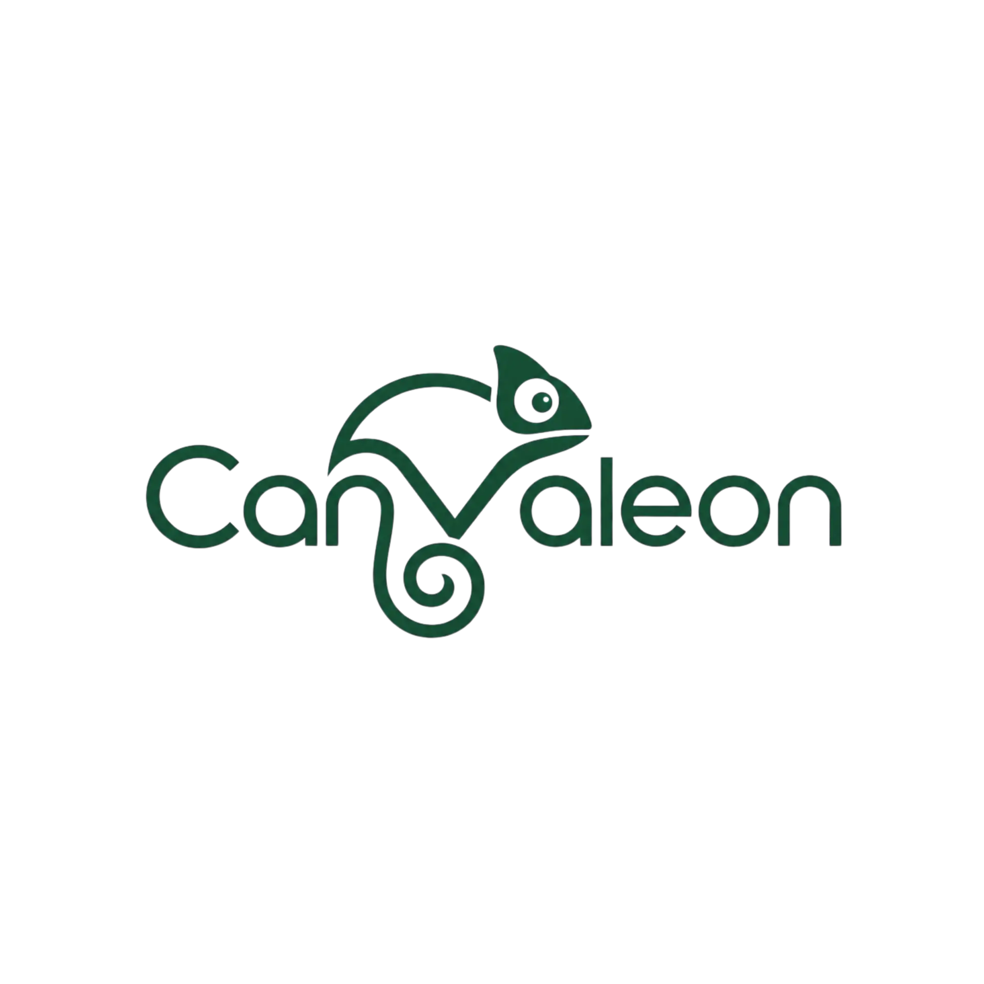 Canvaleon Studio